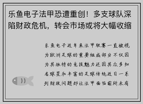 乐鱼电子法甲恐遭重创！多支球队深陷财政危机，转会市场或将大幅收缩